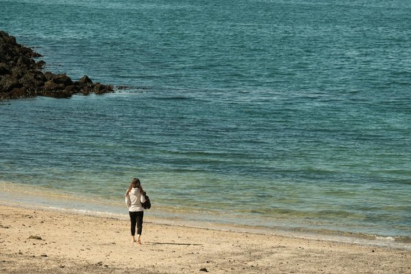 Harpagophytum bio : une plante à consommer pour prendre soin de vos articulations